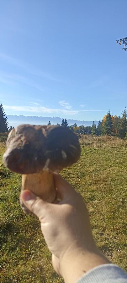 新塔尔格Gosciniec Dziubasowki别墅 外观 照片